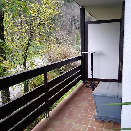 Apartament Thumseestrasse *